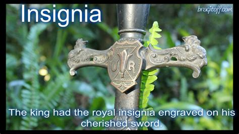 Insignia- Sentence and Image