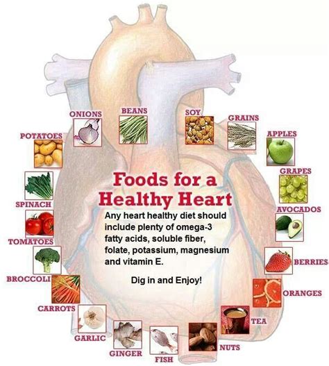 Healthy heart | Heart healthy diet plan, Heart healthy recipes ...