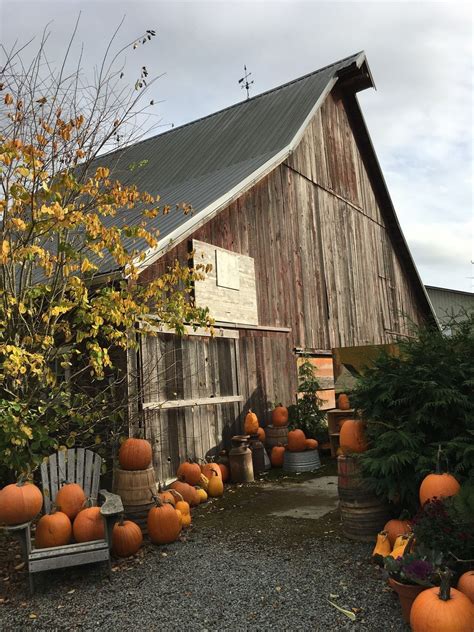 Pin by Judy Vardon on Autumn's Splendor | Fall outdoor decor, Old barn ...