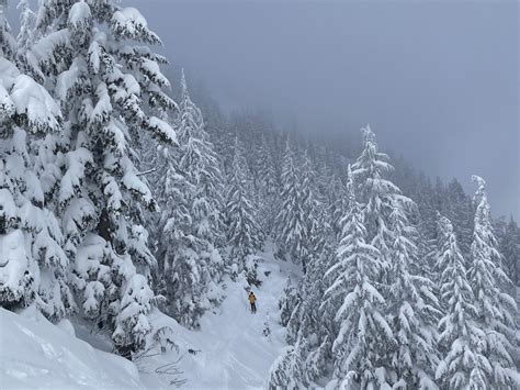 Silver Mountain, ID Report: Cliffs, Soft Snow, Tree-Skiing, Good ...