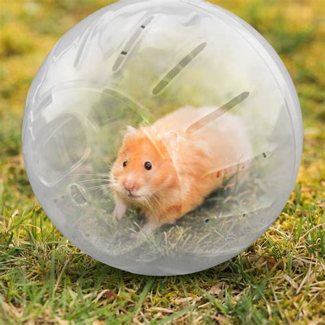 Plastic Mini Jogging Ball Pet Hamster Gerbil Running Ball Play Toy ...