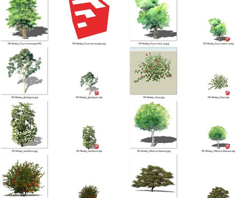 5899. Free Sketchup Trees Model Download