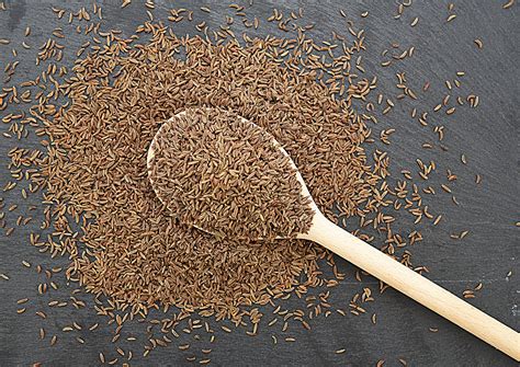 Caraway Seeds - Organic Food Supplier