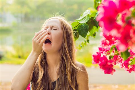 An Intro to Photic Sneeze Reflex - Facty Health