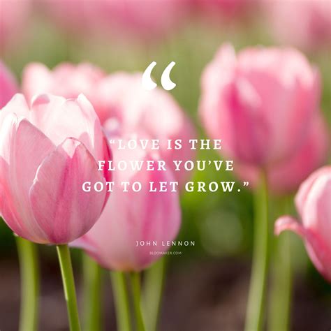 Quotes Beautiful Flowers For Her : Beautiful Flower And Spring Quotes ...