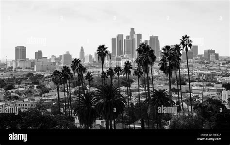 Los Angeles Skyline Black And White Drawing