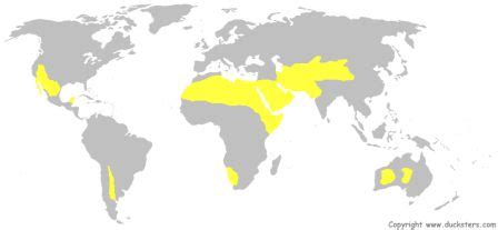 World Map Of Desert Biome - Island Maps