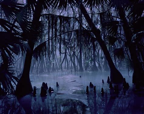 Swamp night — Adam Freebarnett