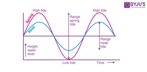 Spring Tide - Definition, Working, FAQs