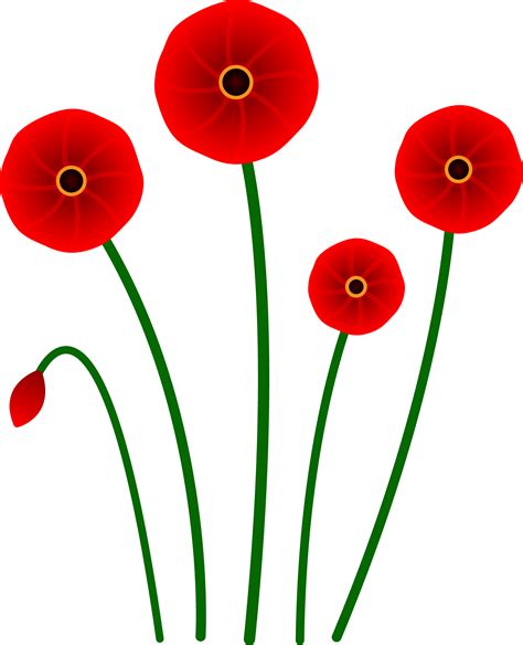 Red Poppy Flowers - Free Clip Art