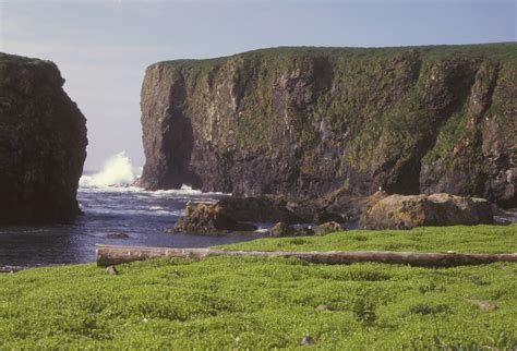 File:Alaska Maritime National Wildlife Refuge, Aleutian Island Unit.jpg ...