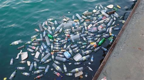 Growing Concern over Plastic Pollution in Rivers and Lakes