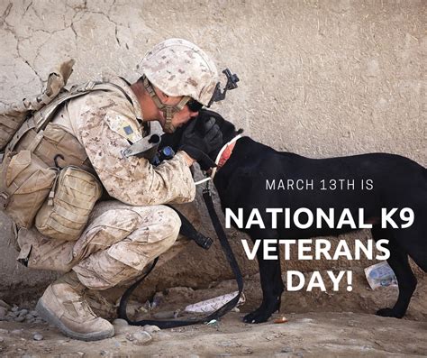 National K9 Veterans Day | Dog activities, Dog quotes, Military dogs