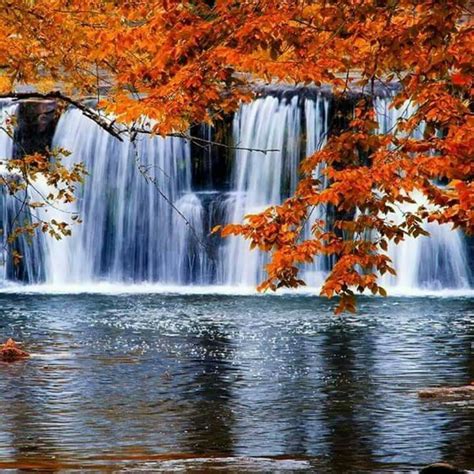 Beautiful | Autumn waterfalls, Waterfall, Autumn scenery