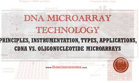 DNA Microarray Technology: Principles, Instrumentation, Types ...