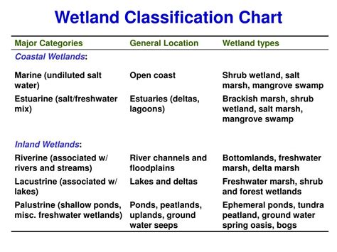 Wetland Classification Chart