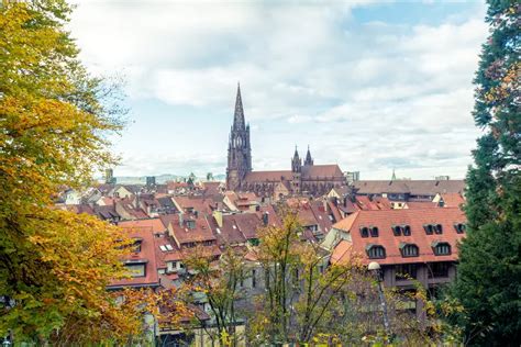 Schlossberg Freiburg: Everything You Need To Know Before You Go - Dive ...