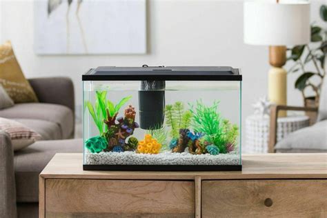 Best 10 Gallon Fish Tank/Aquariums (Reviews, Setup Ideas & Equipment)