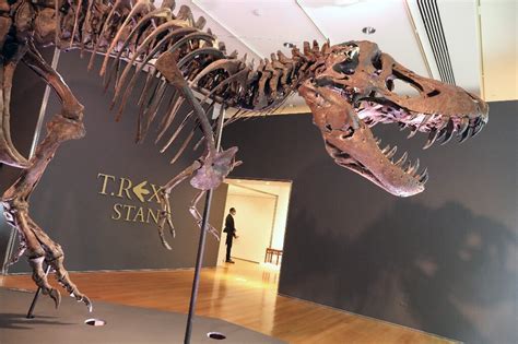 T-Rex fossil sells for record-breaking $31.8 mn