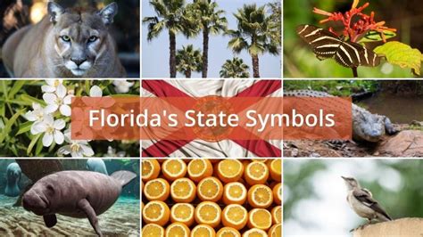 Learn What Florida's State Symbols are with our Complete List and Table