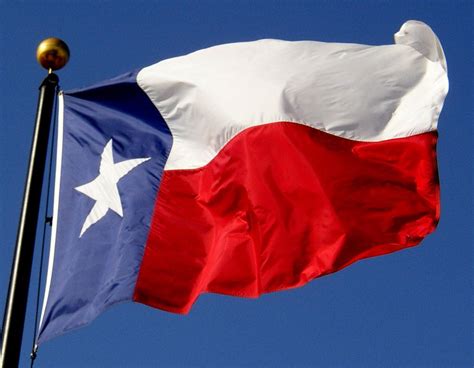 Texas State Symbols