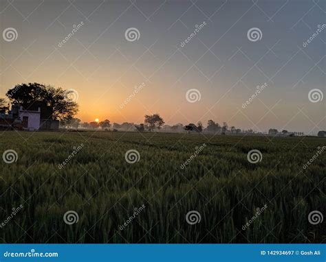 Good Morning Nature stock image. Image of sunrise, morning - 142934697