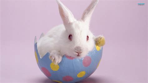 Easter 2013 - Happy Easter 2013 Wishes, Pictures, SMS, Easter Quotes ...