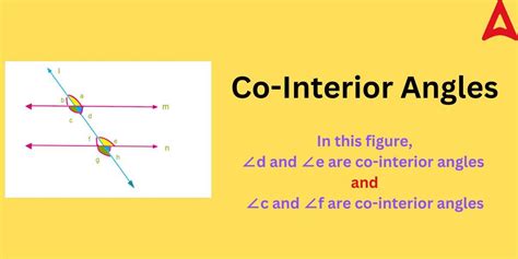 Co Interior Angles: Meaning, Theorem, Property, Examples