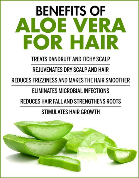 Alopecia Treatment: The Benefits of Aloe Vera - PlantHD