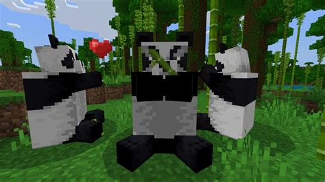 How to Breed Pandas in Minecraft | High Ground Gaming