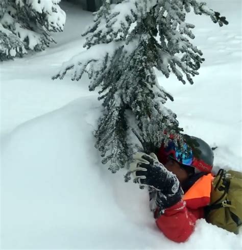 Tree Well Safety | Page 5 | SkiTalk | Ski reviews, Ski Selector