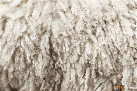 Discover the finest of wool fiber - TEXtalks | let's talk textiles...