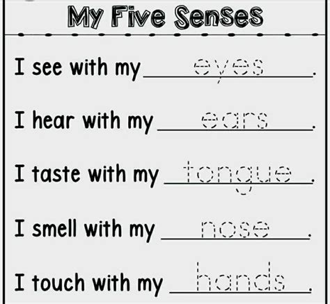 Fine Beautiful Sense Organs Worksheets For Grade 1 Preschool Classroom ...