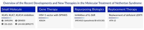 Insights into the Emerging Netherton Syndrome Treatment Options