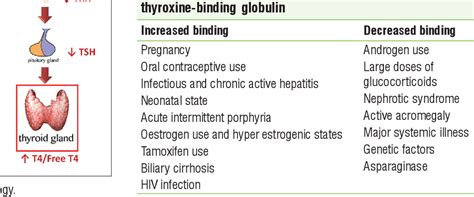 Interpretation of thyroid function tests | Semantic Scholar