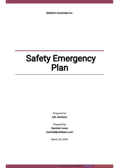 Emergency Safety Plan Template