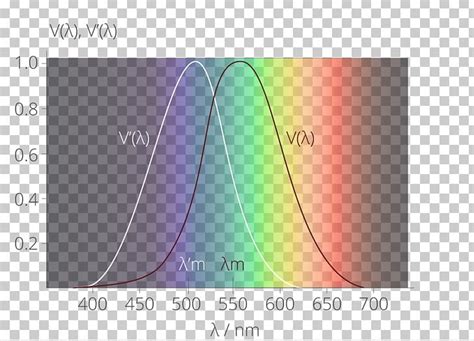 Light Spectral Sensitivity Scotopic Vision Luminosity Function Photopic ...