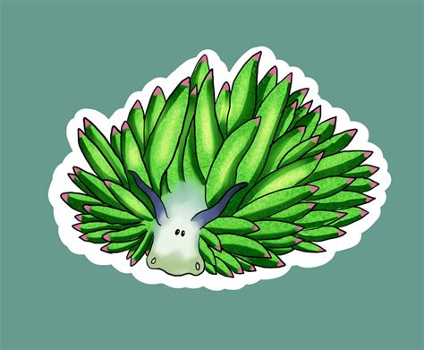 Leaf Sheep Slug Sticker - Etsy