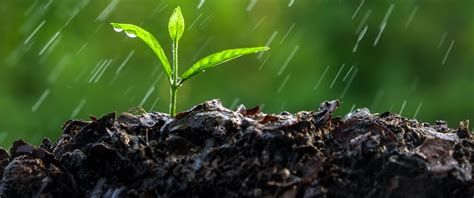 Soil Moisture Webinar Series—Soil Moisture 101: What It Means and How ...