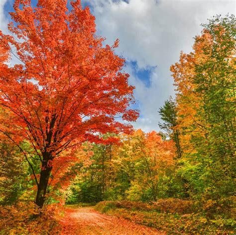 9 Amazing Places to See Fall Colors in Michigan