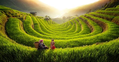 Amazing rice terraces of Mu Cang Chai - Passionnate Travel