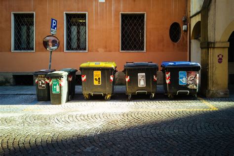 How To Start A Trash Bin Cleaning Service