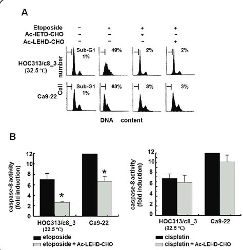 Caspase-9 is functionally relevant in etoposideinduced caspase-8 ...