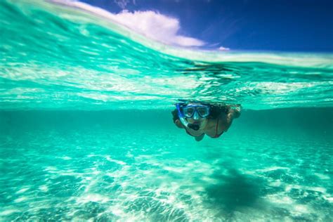 Snorkeling in Playa del Carmen | Best Places | Cancun Snorkeling