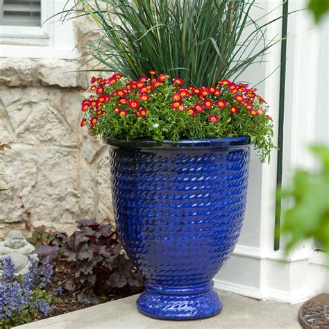 Review Of Best Large Plants For Outdoor Planters References