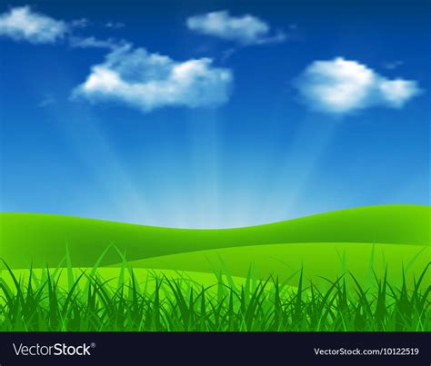 Nature summer background with green grass Vector Image