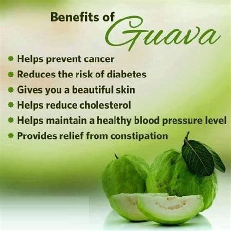 15 Best Benefits & Uses Of Guava Leaves – Guava Leaf Tea – Medium