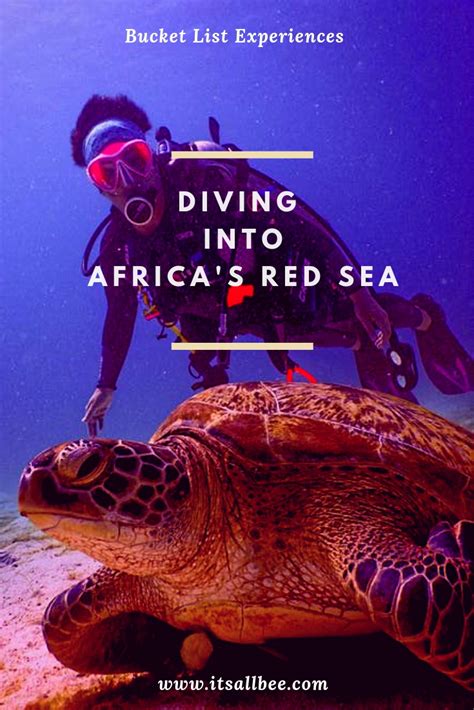 Diving In Africa's Red Sea: Dive in to a magical world - ItsAllBee ...