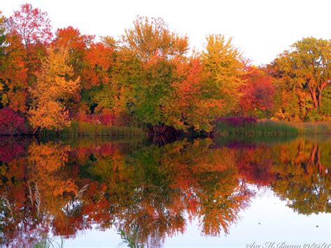 Fall colors around Minnesota | Scenery, Fall colors, Natural landmarks