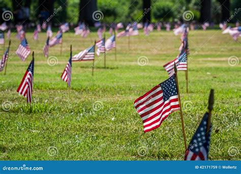 Us Flags in a Veterans Cemetery on Veterans Day Stock Image - Image of ...